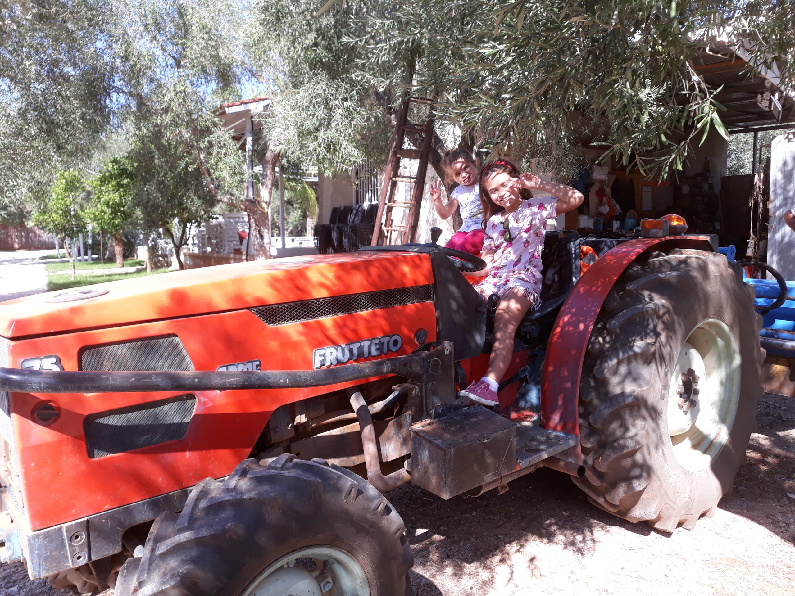 Bambine sul trattore